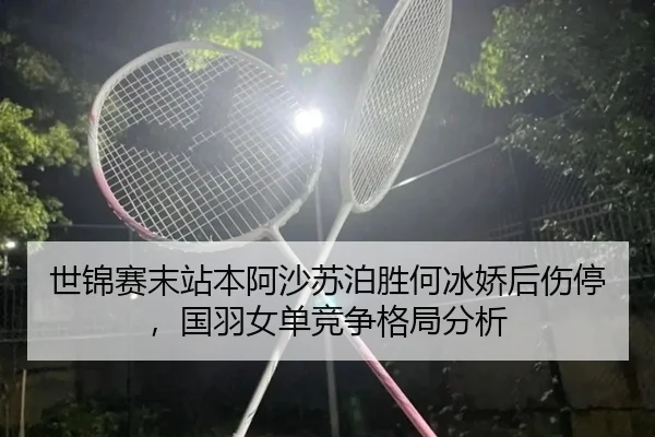 shi-jin-sai-mo-zhan-ben-a-sha-su-po-sheng-he-bing-jiao-hou-shang-ting-guo-yu-nv-dan-jing-zheng-ge-ju-fen-xi-3-752.jpg